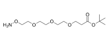 Aminooxy-PEG-t-butyl ester (PEG1-PEGn)，1835759-72-2，抗体- 药物偶联物