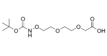 t-Boc-Aminooxy-PEG-CH2CO2H (PEG1-PEGn)，2098983-14-1 ，抗体- 药物偶联物