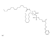 474944-16-6，1,2-二棕榈酰磷脂酰乙醇胺-N-[3-(2-吡啶二硫)丙酰基]（钠盐）（DPPE-PDP）