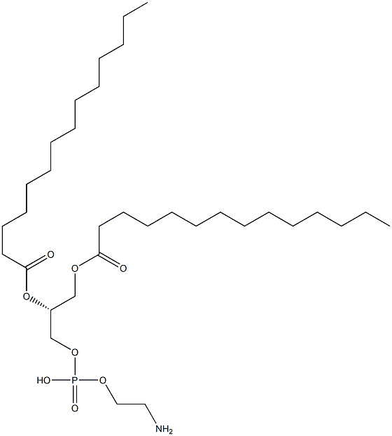 DMPE (14:0 PE)|CAS：998-07-2|1,2-二肉豆蔻酰基磷脂酰乙醇胺