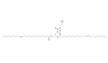 1,2-Dierucoyl-sn-glycero-3-PC 