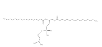 3922-61-0	，1,2-Dipalmitoyl-sn-glycero-3-phospho-N,N-dimethylethanolamine，1,2-二棕榈酰-SN-甘油-3-二氧磷基-N,N-二甲基乙醇胺