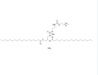 474922-77-5，18:0 mPEG1000 PE ammonium