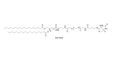 DSPE-PEG-Biotin (MW 1000) 