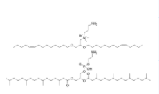 Vaxfectin  