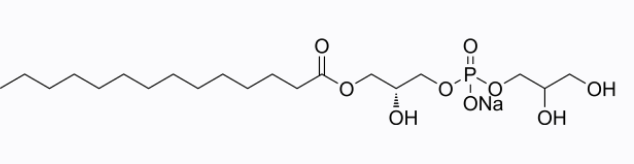 1-Myristoyl-2-hydroxy-sn-glycero-3-PG sodium，cas:326495-21-0，脂质药物载体系统