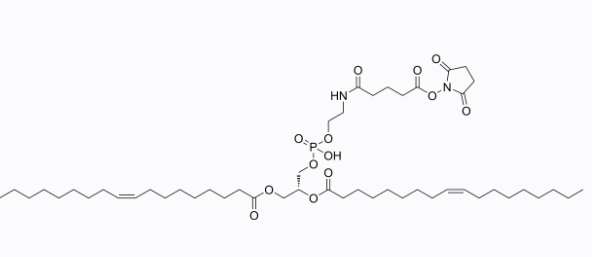 DOPE-NHS，cas:1010188-79-0,活性脂修饰的磷脂，DOPE-琥珀酰亚胺碳酸酯