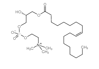 1-油酰-SN-甘油-3-磷酰胆碱(O-LySoPC) , 19420-56-5