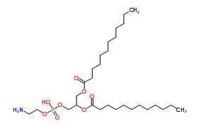 1,2-二月桂酰-sn-甘油-3-磷脂酰乙醇胺，1,2-Dilauroyl-sn-glycero-3-phosphoethanolamine