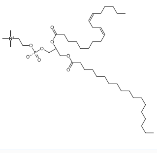 1-硬脂酰-2-亚油酰-SN-甘油-3-磷脂酰胆碱，27098-24-4