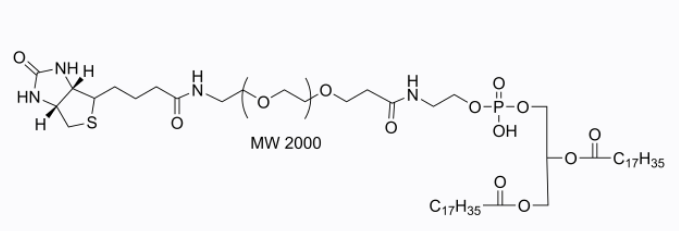 Phospholipid-PEG-Biotin (MW 2000)，磷脂聚乙二醇生物素