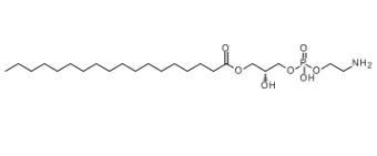 硬脂酰溶血磷脂酰乙醇胺，1-Stearoyl-2-Hydroxy-sn-Glycero-3-Phosphoethanolamine
