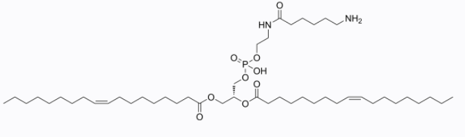 18:1 Caproylamine PE，cas:110796-31-1，具有氨基反应基团的脂
