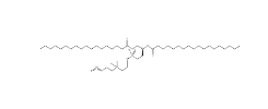 2342574-09-6，18:0 azidoethyl PC，多功能脂质分子