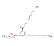  59752-57-7，1,2-Dilauroyl-sn-glycero-3-PE，1,2-二月桂酰磷脂酰乙醇胺