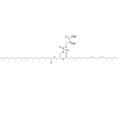 322647-11-0，1-stearoyl-2-linoleoyl-sn-glycero-3-phospho-L-serine (sodium salt) (18:0 -18:2 PS)，1-硬脂酰基-2-亚油酰基-sn-甘油-3-磷酸-L-丝氨酸(钠盐)