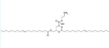 Dielaidoylphosphatidylethanolamine，二烯丙基磷脂酰乙醇胺