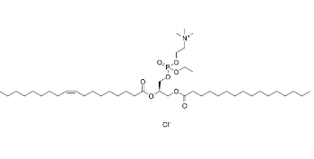 16:0-18:1 EPC chloride；16:0-18:1 EPC氯化物