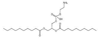 1,2-Didecanoyl-sn-glycero-3-phosphoethanolamine，1,2-二癸酰基-SN-甘油-3-磷酸乙醇胺或10:0 PE