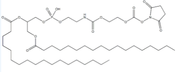 DSPE-PEG-NHS；磷脂-聚乙二醇-活性酯