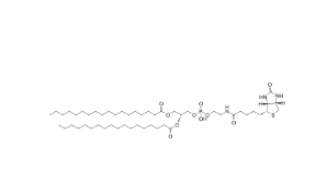 DSPE-Biotin  