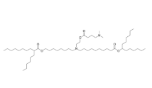 Lipid 23 