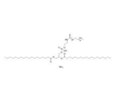 18:0 mPEG2000 PE ammonium	  