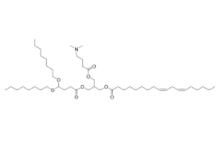 BP Lipid 308  