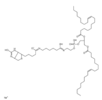  18:1 Biotinyl Cap PE	