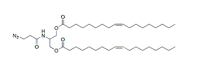 BP Lipid 423