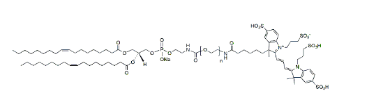 DOPE-PEG-Fluor 555，亮橙色菁染料Fluor 555标记磷脂PEG
