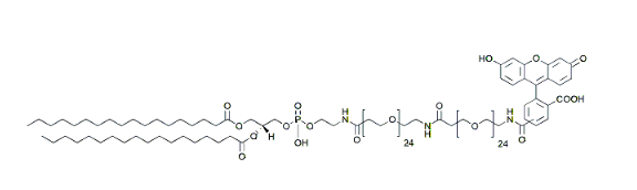 DSPE-PEG-Carboxyfluorescein，Carboxyfluorescein-PEG24-amido-PEG24-DSPE，羧基荧光素-聚乙二醇24-氨基-聚乙二醇24-DSPE