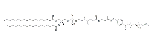 DSPE-hydrazone-mPEG2K，二硬脂酰磷脂酰乙醇胺-腙键-甲氧基聚乙二醇，分子量为 2000