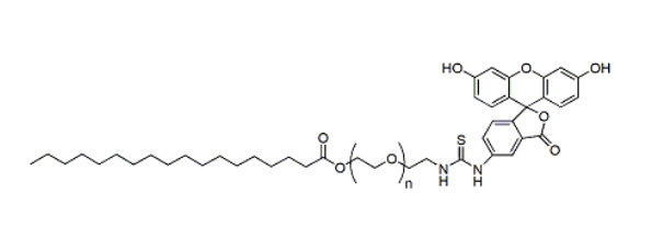 Stearic Acid-PEG-FITC，硬脂酸-聚乙二醇-FITC，硬脂酸-聚乙二醇-异硫氰酸荧光素