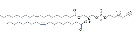 18:1 propargyl PC，cas: 1830366-41-0，18:1丙炔PC