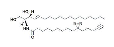 pacFA Ceramide，cas:1262788-55-5，pacFA神经酰胺
