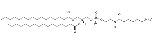 16:0 Caproylamine PE，cas:115288-21-6，16:0己胺聚乙烯，酰胺官能化的脂质