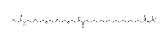 18-(Bromoacetamido-PEG4-ethylcarbamoyl)heptadecanoic-t-butyl ester，18-(溴乙酰胺基-聚乙二醇4-乙基氨基甲酰基)十七酸叔丁酯