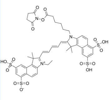 Cy5.5-SE；Cyanine5.5 NHS ester；齐岳生物