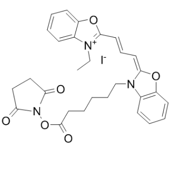 CY2-SE；Cyanine2 NHS Ester；齐岳生物