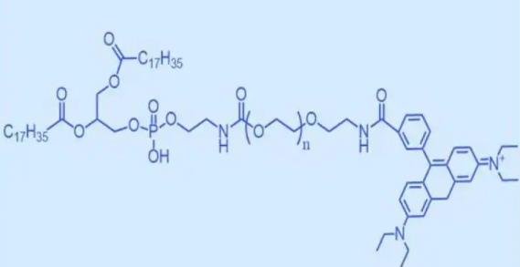 DSPE-PEG-Rhodamine 