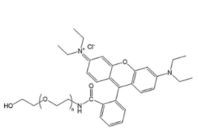  Rhodamine B-PEG-Hydroxy 