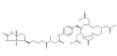 DOTA-Biotin-Sarcosine,CAS#:180978-54-5