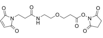 馬來酰亞胺-聚乙二醇-活性脂，MAL-PEG-NHS