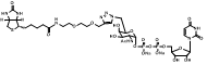 UDP-6-Biotinyl-GalNAc；UDP-6-生物素基-半乳糖胺 