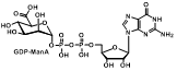 GDP-ManA GDP-α-D-mannose CAS号: 23202-22-6