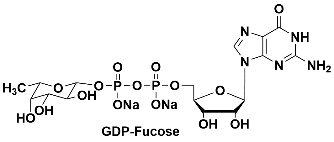 GDP-Fuc GDP-Fucose CAS：15839-70-0 