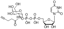UDP-2-alkynyl-GalNAc UDP-2-烷炔基-GalNAc
