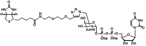 尿苷二磷酸-6-生物素-半乳糖胺 UDP-6-Biotinyl-GalNAc