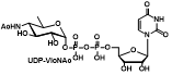 UDP-VioNAc 尿苷二磷酸-N-(4-氨基-4,6-二脱氧-D-甘露吡喃糖基